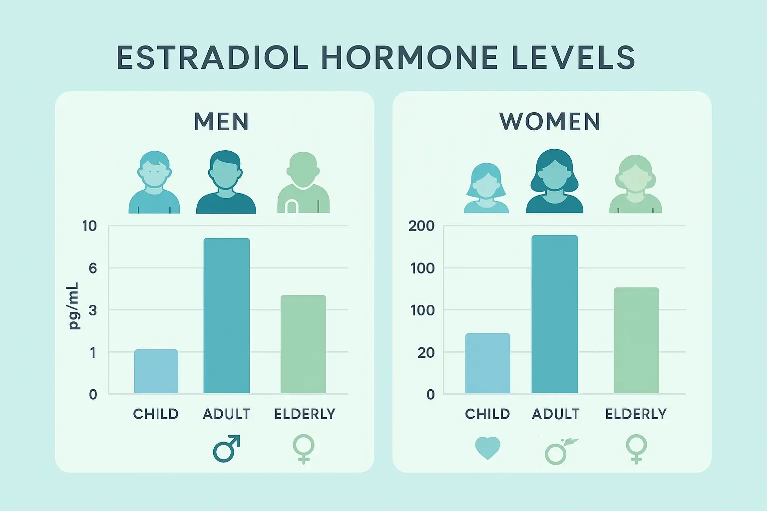 estradiol-hormone-levels